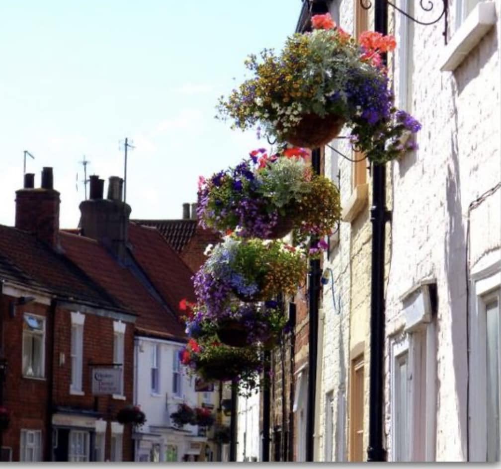HANGING BASKETS 2023 