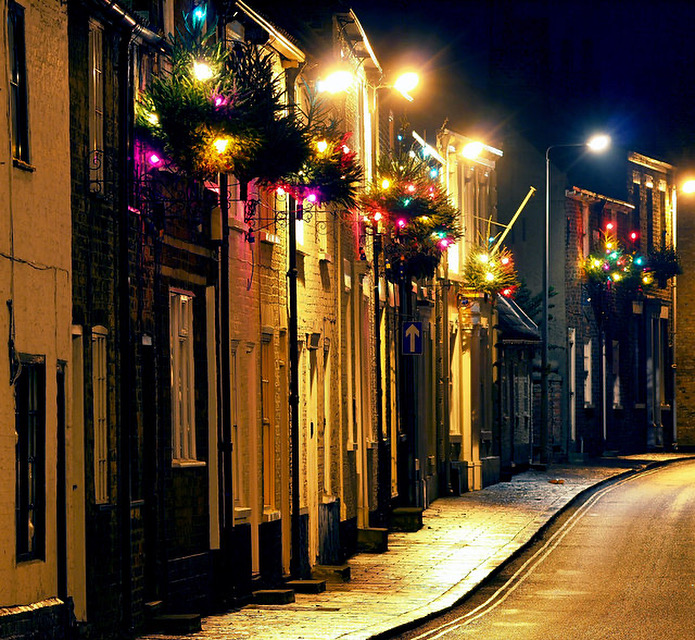 CHRISTMAS TREES 2025